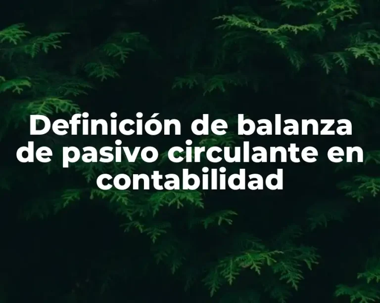 Definición de balanza de pasivo circulante en contabilidad