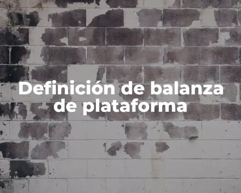 Definición de balanza de plataforma
