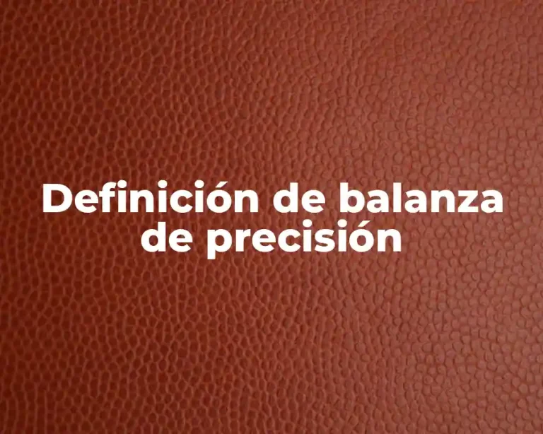 Definición de balanza de precisión