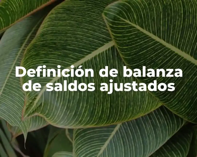 Definición de balanza de saldos ajustados