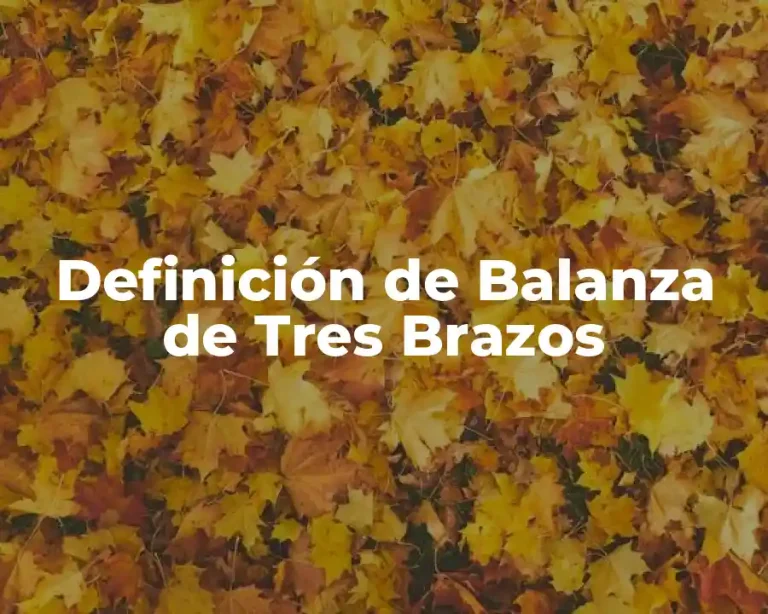 Definición de Balanza de Tres Brazos