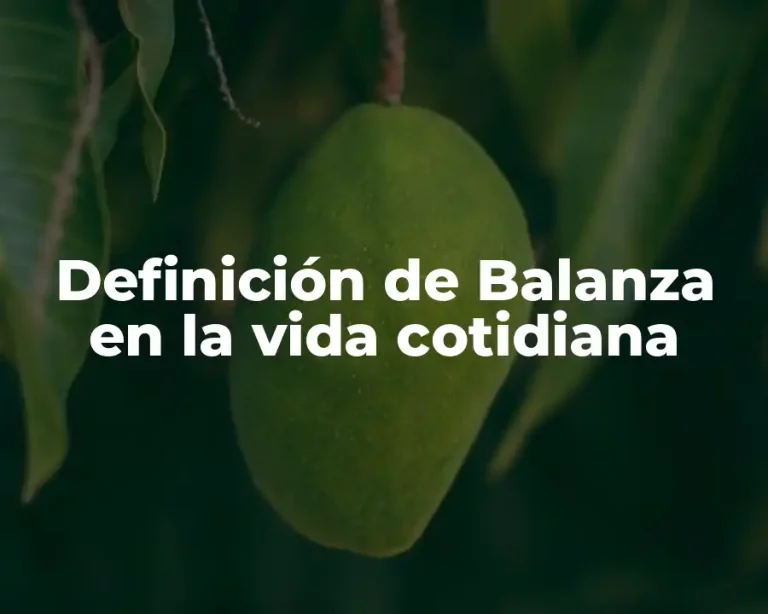 Definición de Balanza en la vida cotidiana