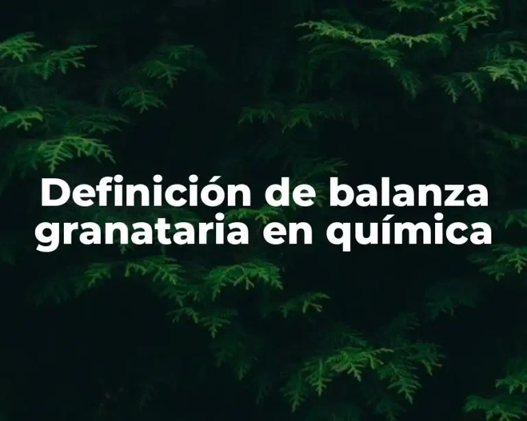 Definición de balanza granataria en química