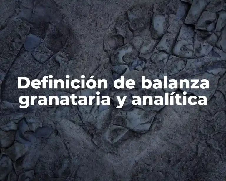 Definición de balanza granataria y analítica