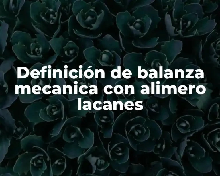Definición de balanza mecanica con alimero lacanes