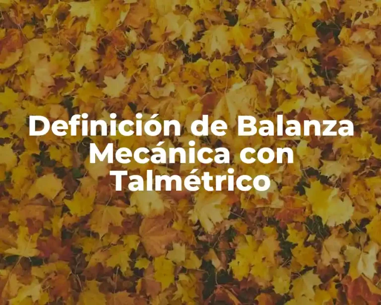 Definición de Balanza Mecánica con Talmétrico