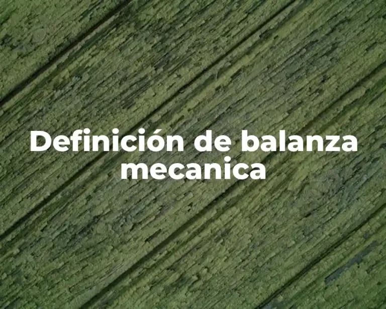 Definición de balanza mecanica