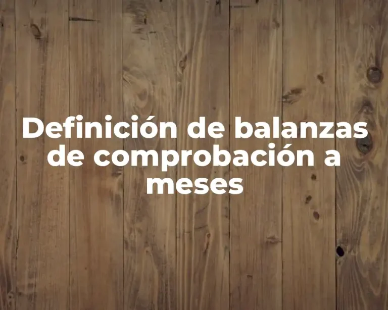 Definición de balanzas de comprobación a meses