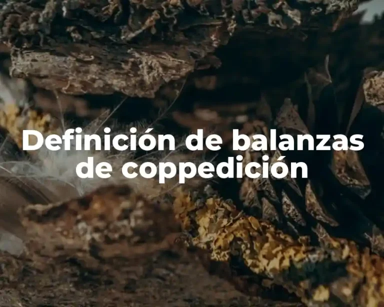 Definición de balanzas de coppedición