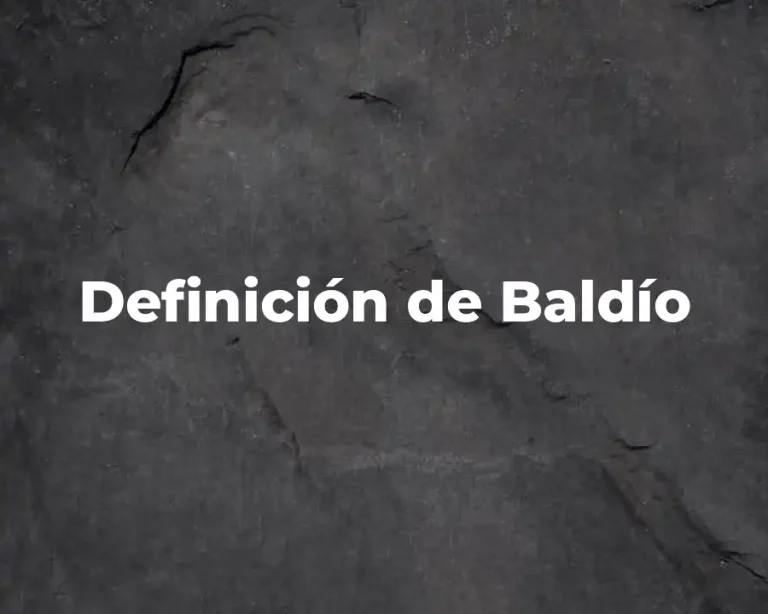 Definición de Baldío