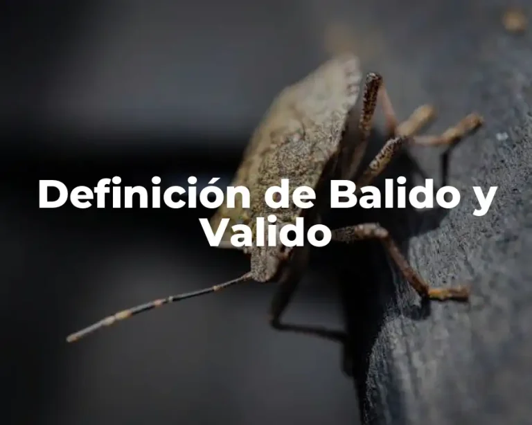 Definición de Balido y Valido