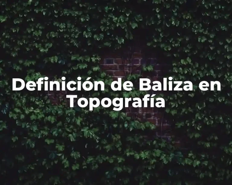 Definición de Baliza en Topografía