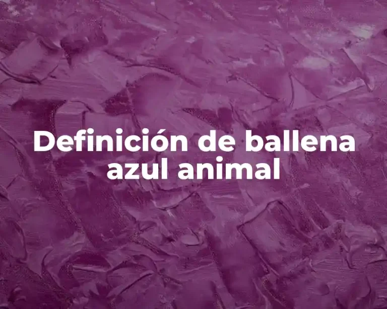 Definición de ballena azul animal