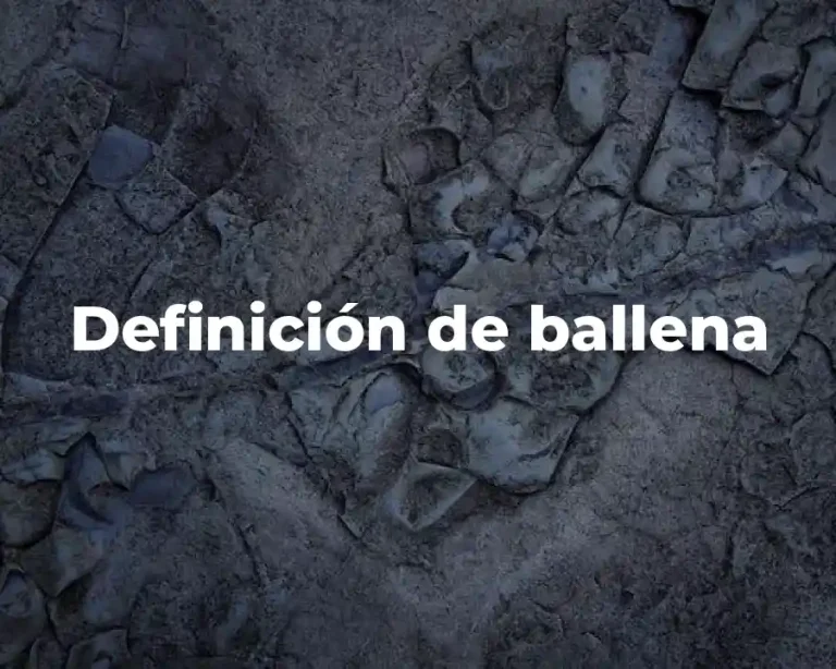 Definición de ballena
