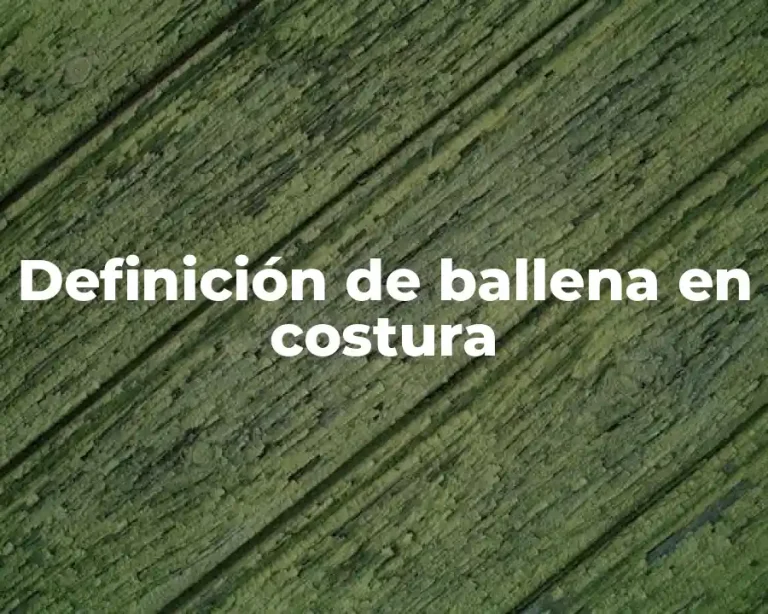 Definición de ballena en costura
