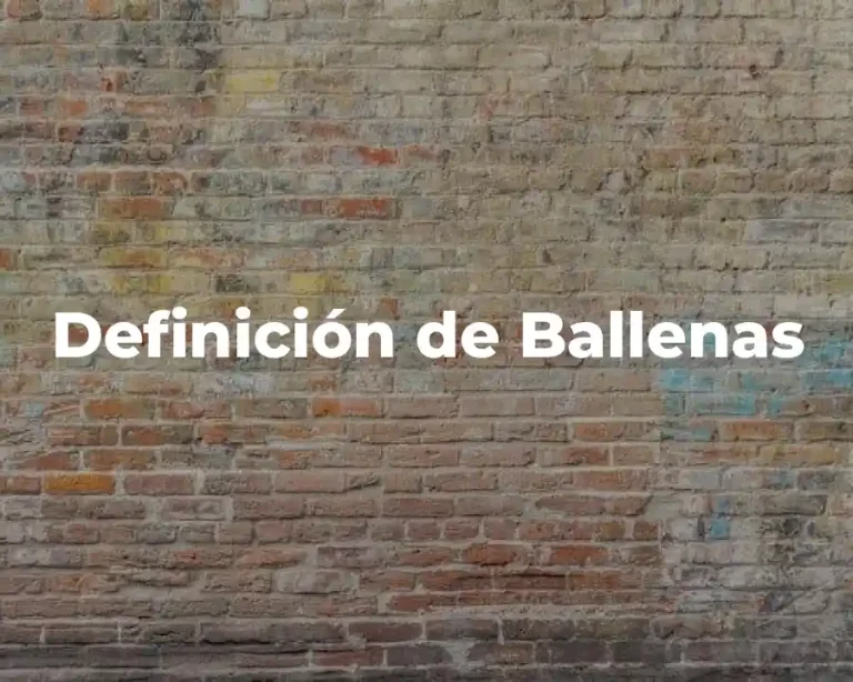 Definición de Ballenas