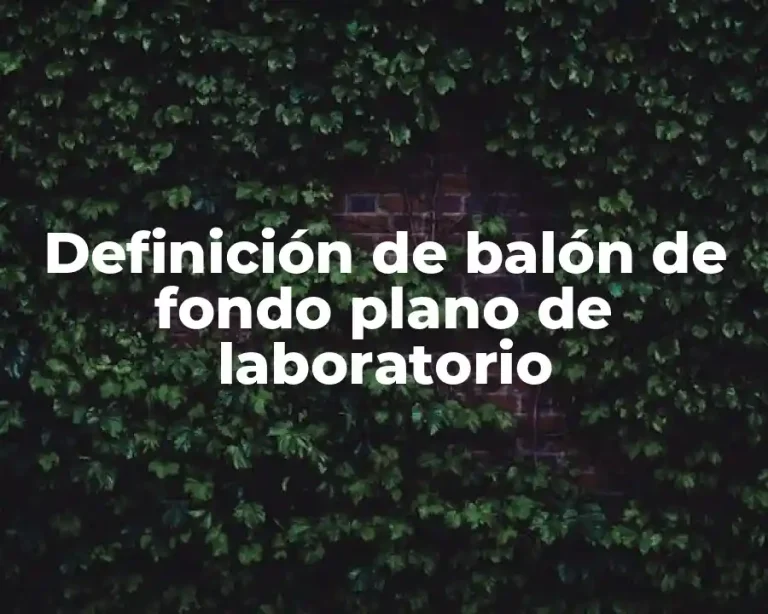 Definición de balón de fondo plano de laboratorio