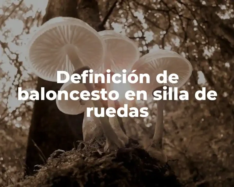 Definición de baloncesto en silla de ruedas