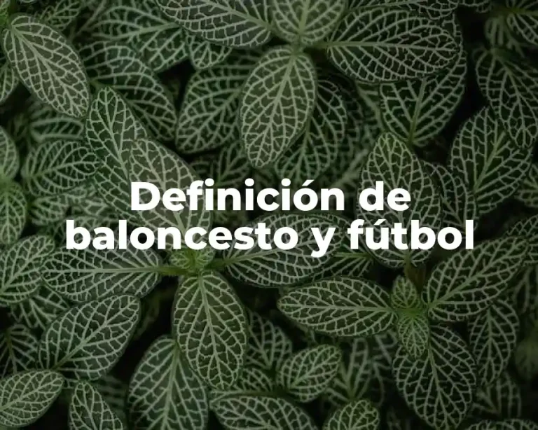 Definición de baloncesto y fútbol