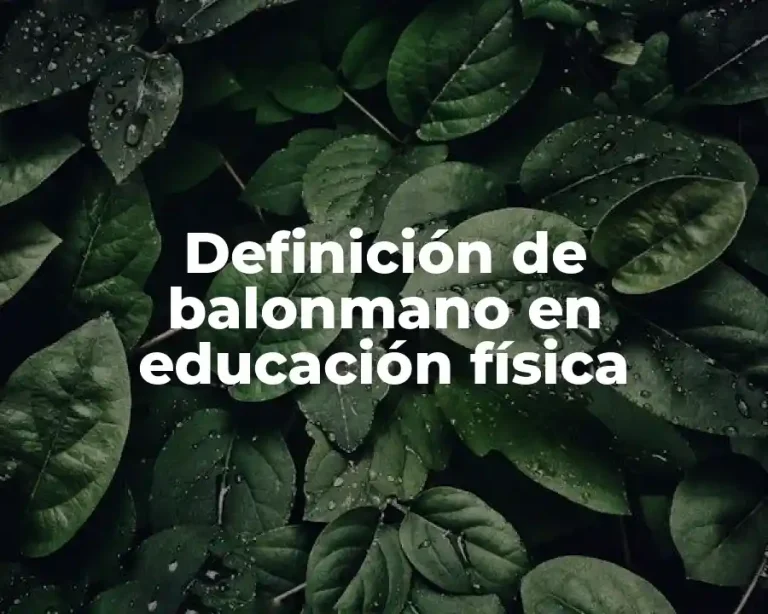 Definición de balonmano en educación física
