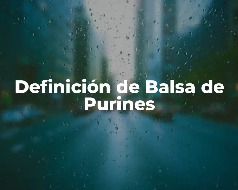 Definición de Balsa de Purines
