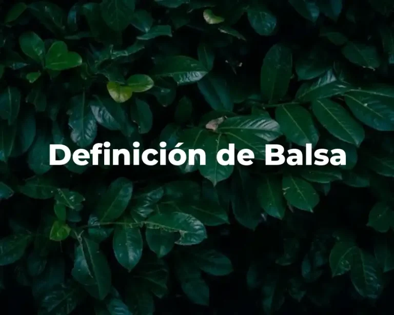 Definición de Balsa