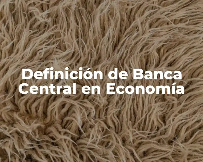 Definición de Banca Central en Economía