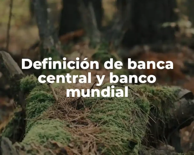 Definición de banca central y banco mundial