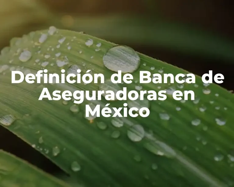 Definición de Banca de Aseguradoras en México