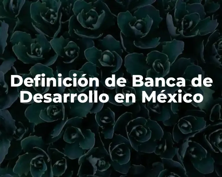 Definición de Banca de Desarrollo en México