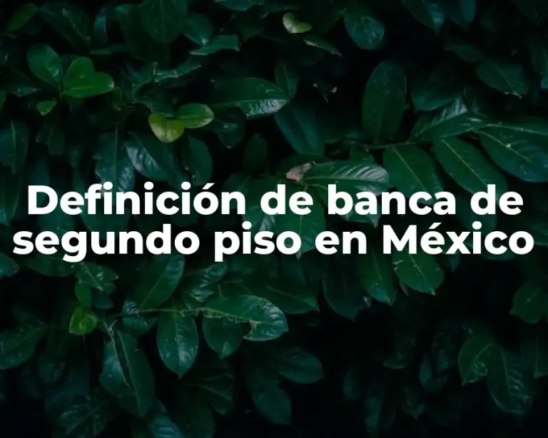 Definición de banca de segundo piso en México