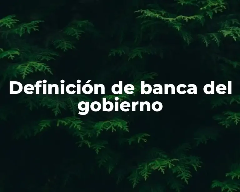 Definición de banca del gobierno