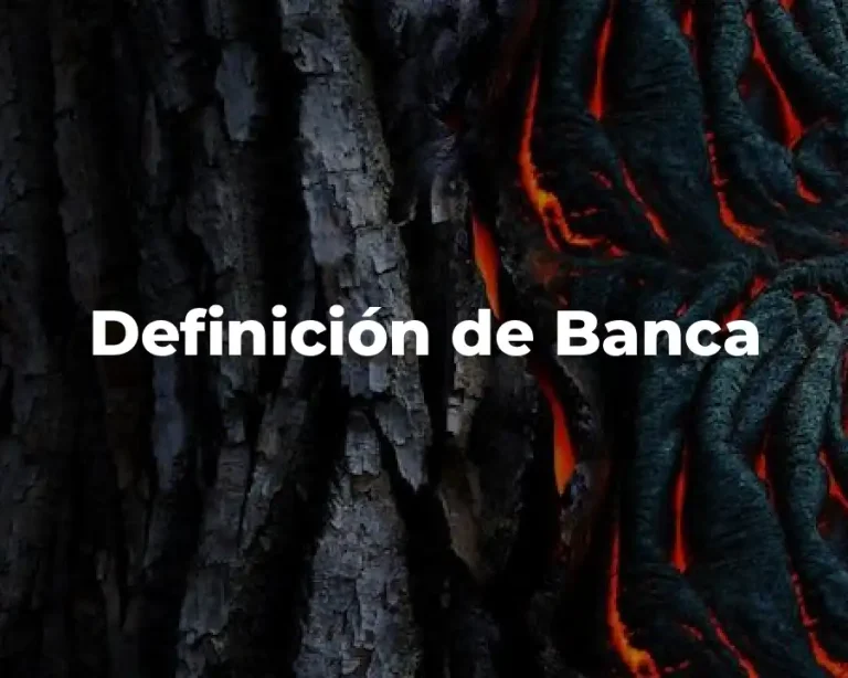 Definición de Banca