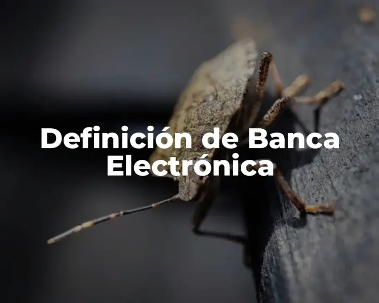 Definición de Banca Electrónica