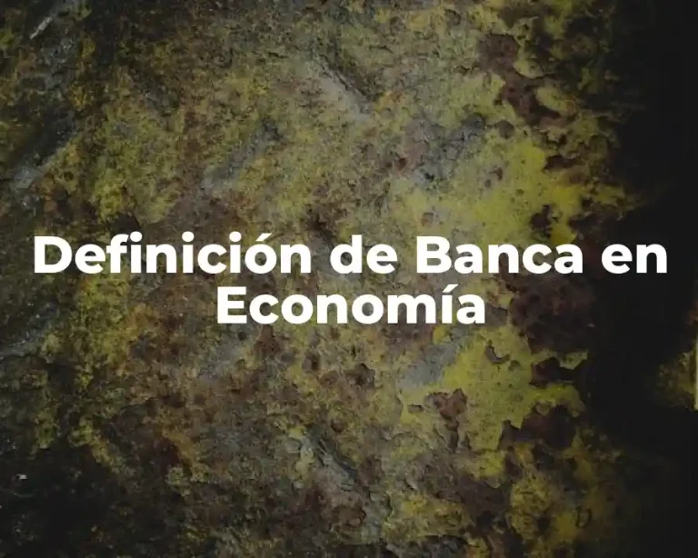 Definición de Banca en Economía