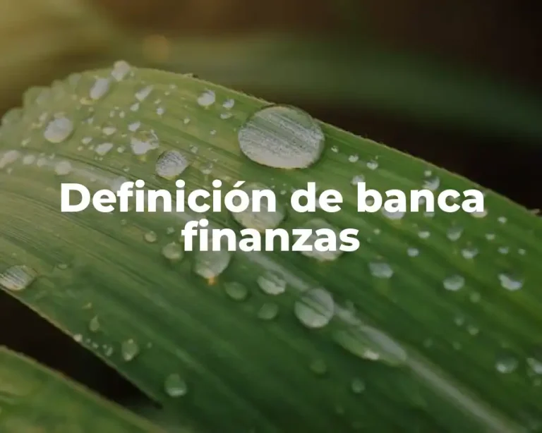 Definición de banca finanzas