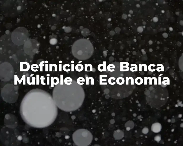 Definición de Banca Múltiple en Economía