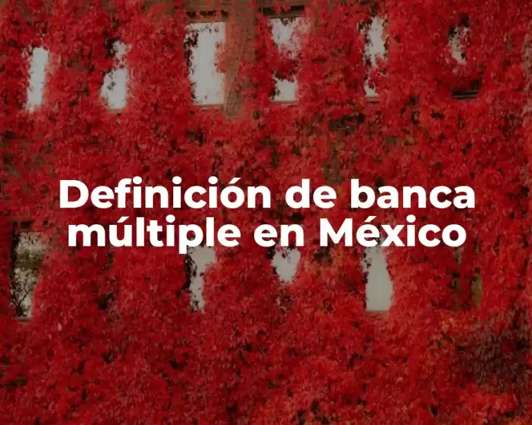 Definición de banca múltiple en México