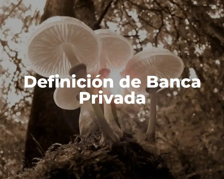 Definición de Banca Privada