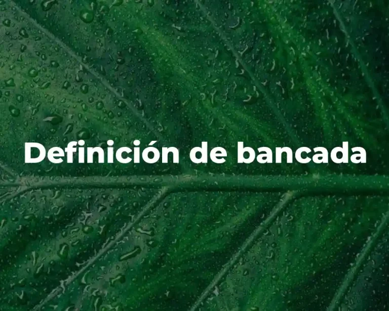 Definición de bancada