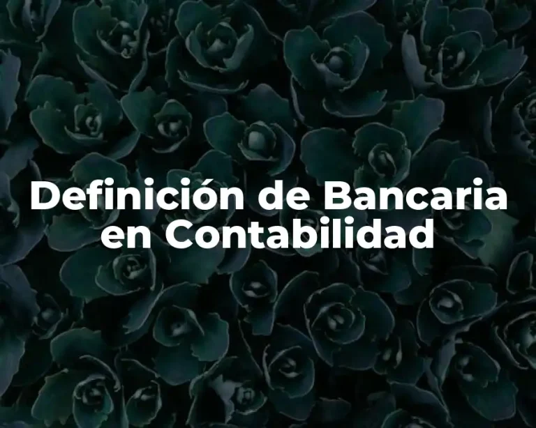Definición de Bancaria en Contabilidad