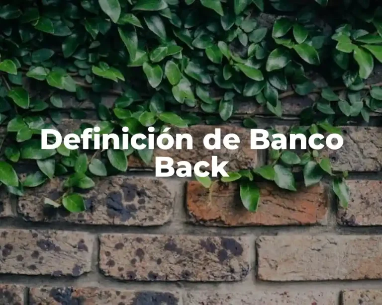 Definición de Banco Back