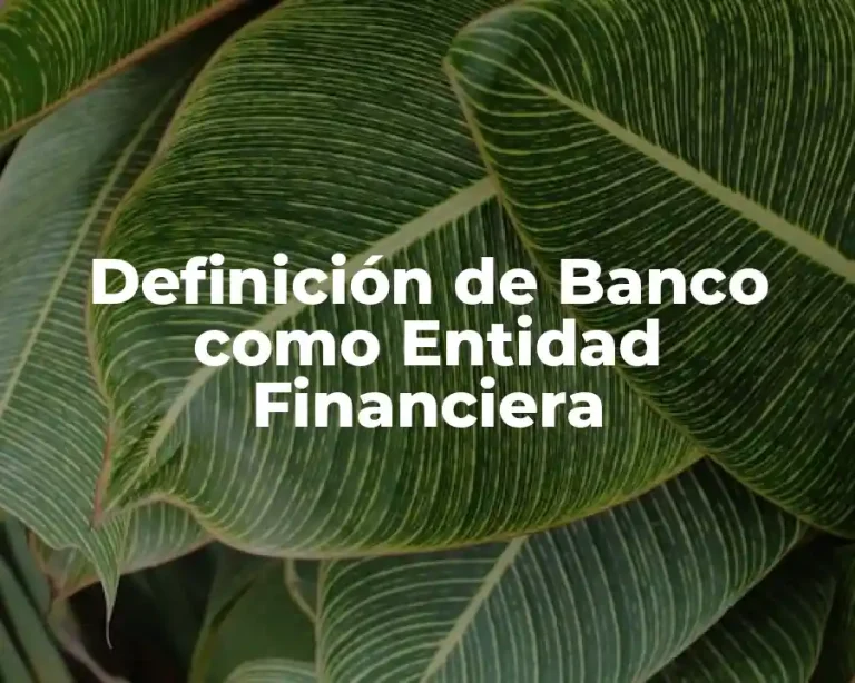 Definición de Banco como Entidad Financiera