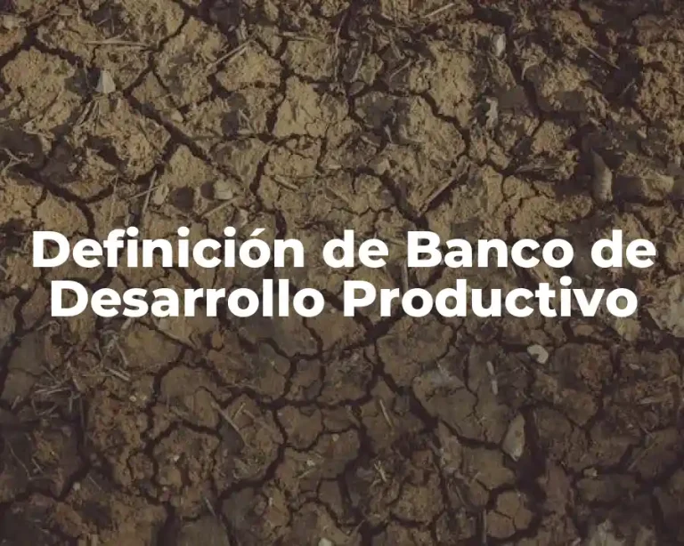 Definición de Banco de Desarrollo Productivo