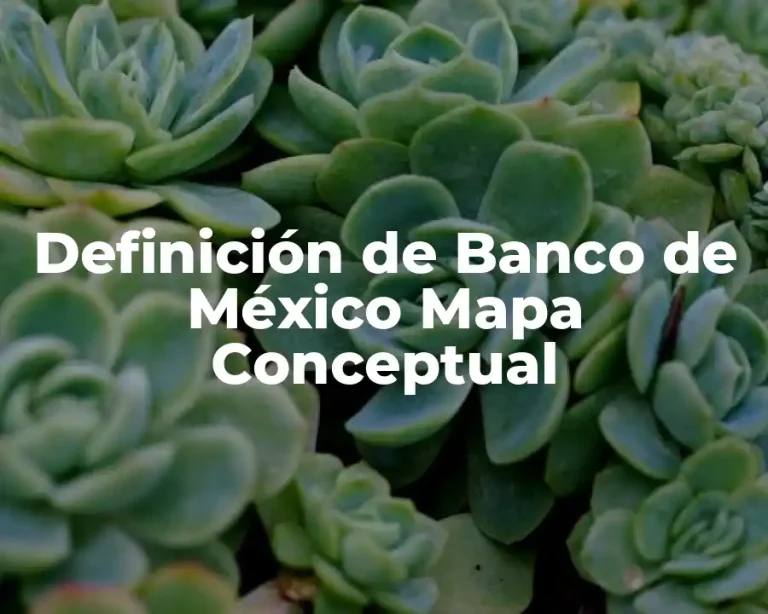 Definición de Banco de México Mapa Conceptual