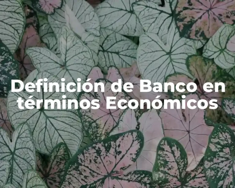 Definición de Banco en términos Económicos