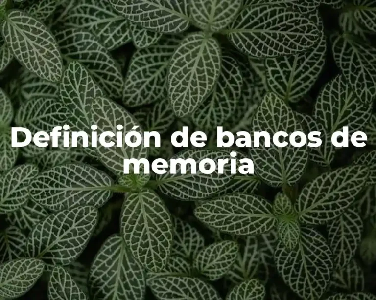 Definición de bancos de memoria