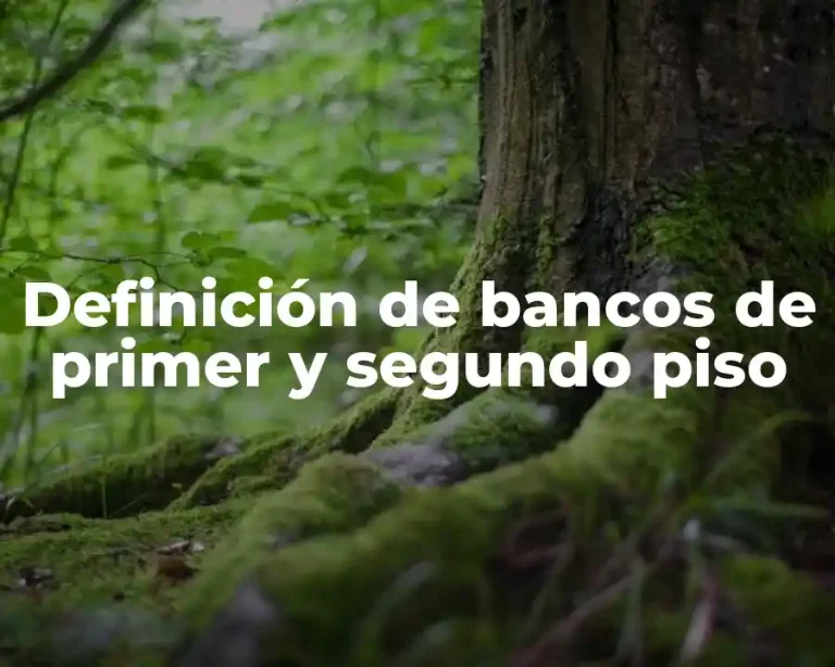 Definición de bancos de primer y segundo piso
