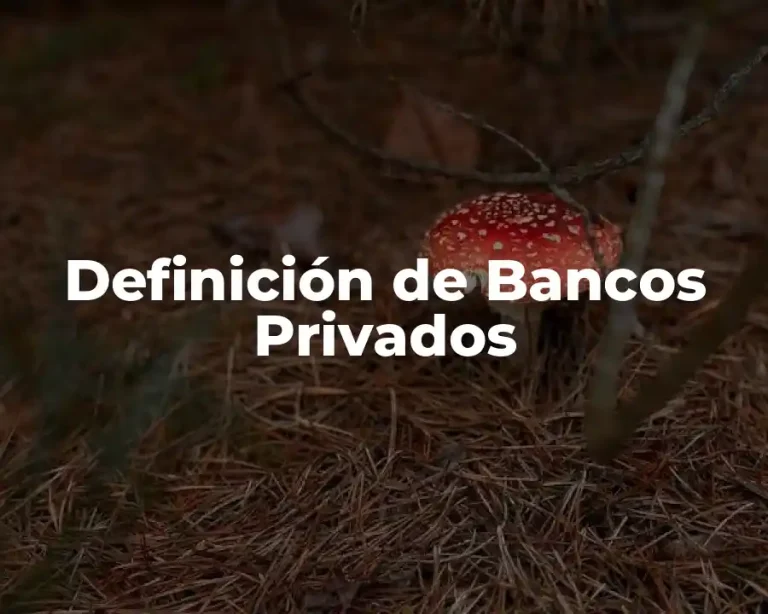 Definición de Bancos Privados