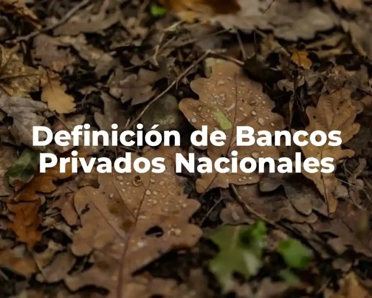 Definición de Bancos Privados Nacionales